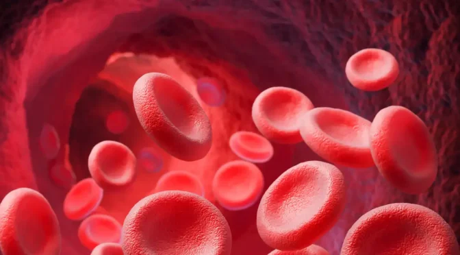 Understanding Red Blood Cells and Their Functions